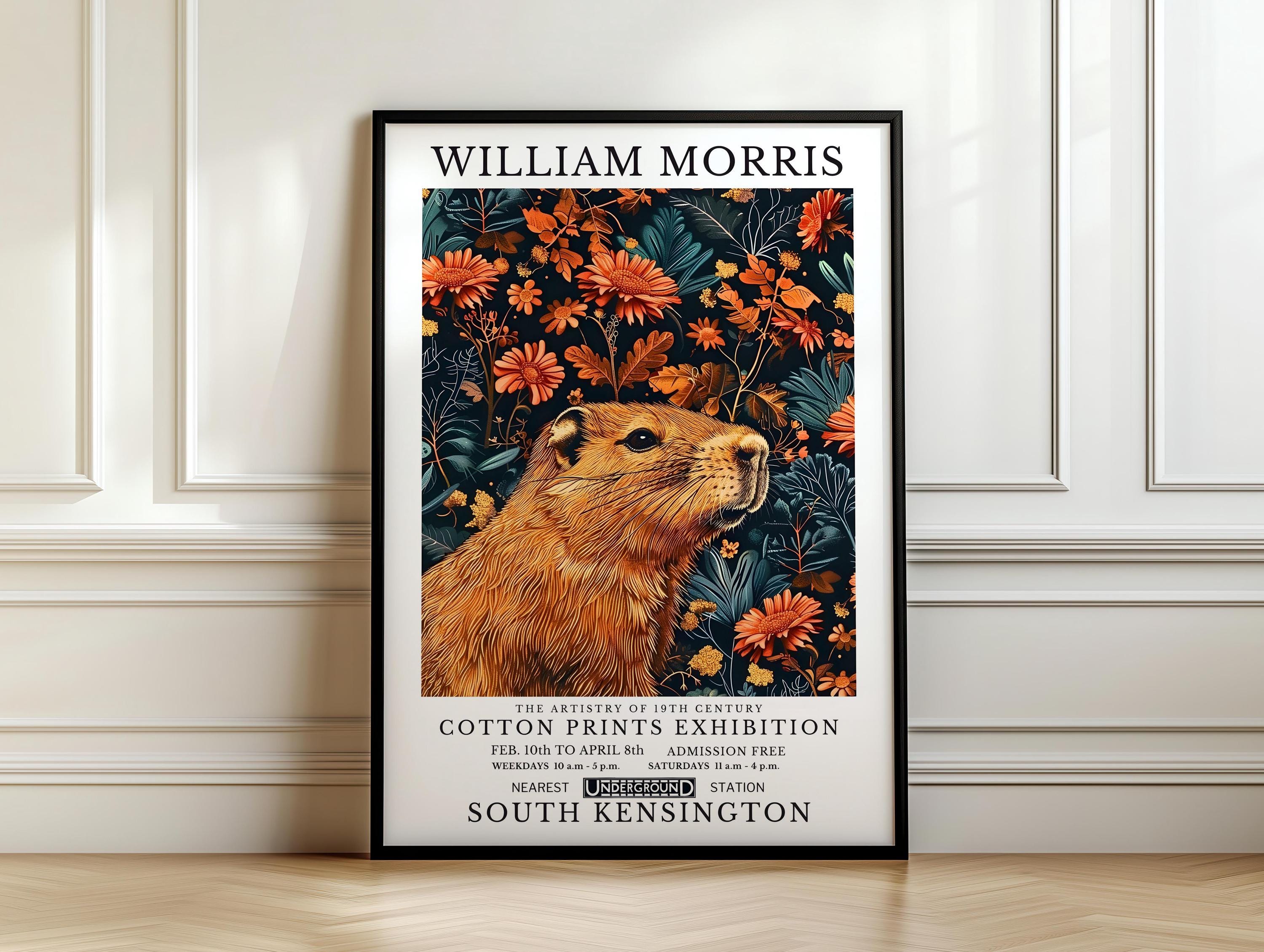 Marmot illustration - Etsy 日本
