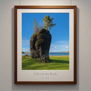 Könnte beinhalten: Gerahmter Druck eines Landschaftsbildes mit einer großen, moosbedeckten Felsformation mit Bäumen. Das Kunstwerk mit dem Titel "Life on the Rock" von VinArt ist vor blauem Himmel, grünem Gras und einem Gewässer platziert.