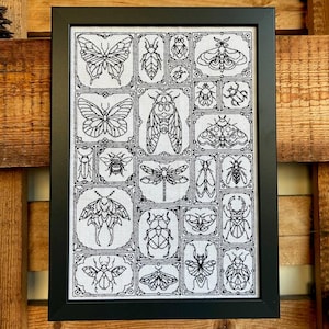 以下が含まれることがあります： 白い布地に黒い糸で昆虫のイラストを刺繍した、額装されたクロスステッチ作品。蝶、蛾、甲虫、トンボなど様々な昆虫が、長方形のグリッドパネルの中に配置され、全体として一つのデザインを構成している。