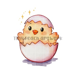 Cute Little Chick in eggshell PNG design. Hand-drawn. Instant download. Suitable for printing on clothings or any merchandised items.