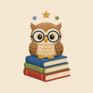 Può includere: Un disegno ricamato raffigurante un gufo marrone con grandi occhiali blu appollaiato su una pila di tre libri blu, verdi e rossi. Sopra il gufo ci sono tre piccole stelle ricamate in blu, giallo e verde su uno sfondo di tessuto color crema.