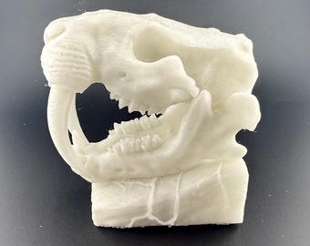May include: A 3D-printed, off-white saber-toothed tiger skull. The model shows detailed teeth, eye sockets, and the distinctive long canines. The skull is a decorative item, likely for display or educational purposes.
