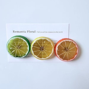 Minimalistisk mini-kylskåpsmagnet med citrusfrukter - 3D-genomskinligt mönster citron lime apelsinskiva - Unik brevpapper, present och heminredning