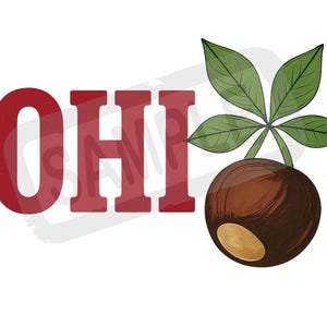 May include: A graphic illustration displaying the word "OHIO" in red capital letters, alongside a detailed drawing of a buckeye nut and green leaves. The buckeye is brown with a tan spot, set against a white background.