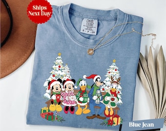 Mickey and Friends Winter Shirt, Comfort Colors® Disney Christmas Vibes Shirt, WDW Gift, Disney Squad Xmas Holiday Shirt
