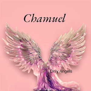 Puede incluir: Imagen de arte digital con alas de ángel en tonos rosa, morado y gris sobre un fondo rosa. La palabra "Chamuel" está escrita en negro sobre las alas, y las palabras "Only Angels" debajo. Imagen decorativa.