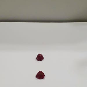 Könnte beinhalten: Zwei kleine, dunkelrote, strukturierte Objekte, möglicherweise Edelsteine oder Perlen, sind vertikal vor einem weißen Hintergrund angeordnet. Die Objekte haben eine abgerundete, unregelmäßige Form mit strukturierter Oberfläche.