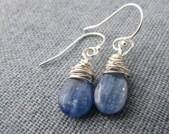 Kyanite Earrings, small, smooth, polished blue kyanite, wire wrapped dangle earrings
