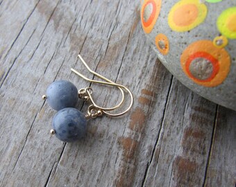 Blue Coral Earrings: Small Gold Filled Dangle Earrings