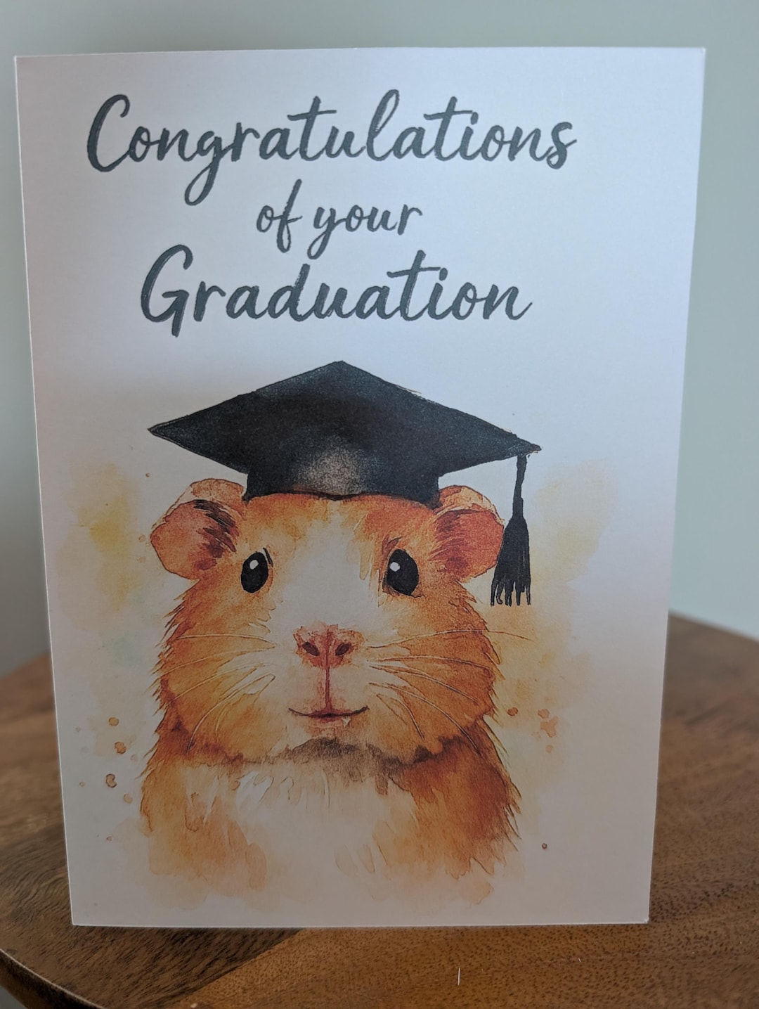 guinea-pig-congratulations-on-your-graduation-card-etsy