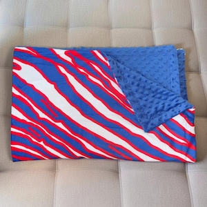 May include: A folded baby blanket with a blue, red, and white zebra stripe pattern on one side and a solid blue, textured fabric on the other. The blanket is folded on a neutral-colored surface.