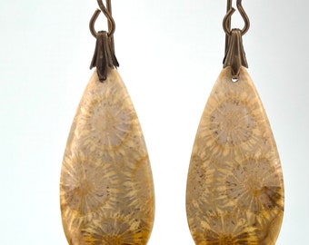 Fossil Coral Earrings