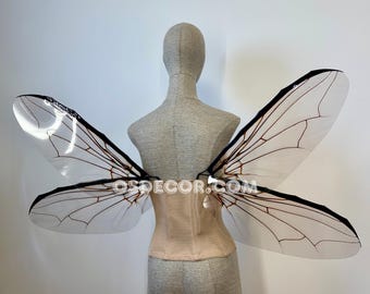 Grau-Braun-transparente Flügel einer Fliege