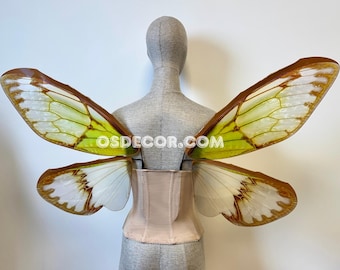 Ailes de fée cigale marron vert