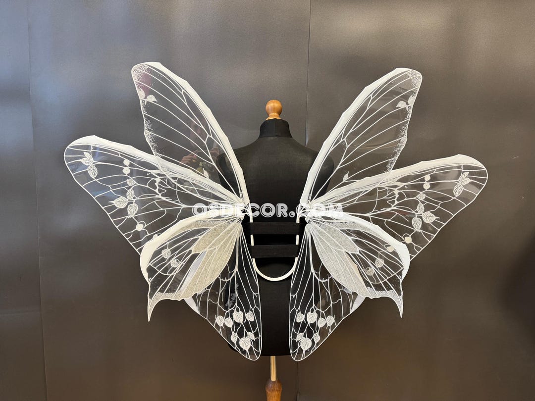 White Transparent Butterfly Wings