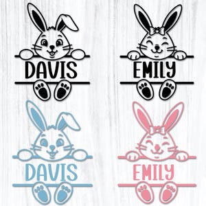 以下が含まれることがあります： イースターバニーをテーマにした4つのネームサイン。2つは白黒で、「DAVIS」と「EMILY」の名前が書かれています。他の2つは青とピンクで、こちらも「DAVIS」と「EMILY」の名前が書かれています。各ウサギは、名前が書かれた水平バーを持っています。