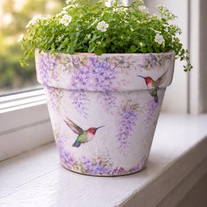 May include: A decorative flower pot with a floral and hummingbird design. The pot is filled with green plants and small white flowers. The pot features a lavender floral pattern and images of hummingbirds.