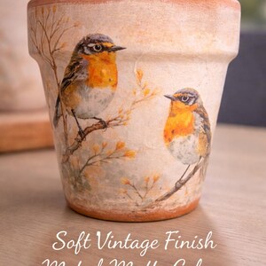 Robin Bird Decoupage Planter (Soft Vintage Finish) | 4” Terracotta Pot | Muted Matte Colors | Cottage Garden Decor | Bird Lover Gift