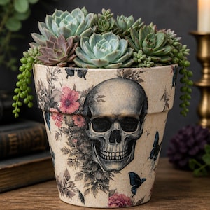 May include: A beige terracotta plant pot featuring a detailed black and white skull illustration, pink floral patterns, and blue butterfly motifs. The pot is filled with a variety of green and purple succulent plants that spill over the rim.