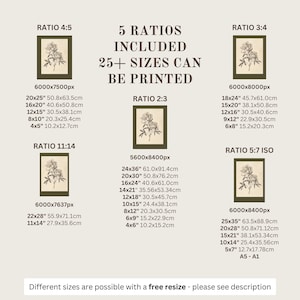 以下が含まれることがあります： 4:5、2:3、3:4、11:14、5:7 ISOなど、さまざまなアスペクト比で表示された植物画の画像。詳細な花のイラストが特徴です。テキストには、25以上のサイズをcm単位で印刷できると記載されています。