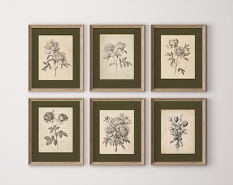 May include: Six framed botanical prints featuring detailed black and white illustrations of various flowers. Each print is set against a cream-colored background and framed in a green mat with a light brown wooden frame. The prints are displayed on a white wall.