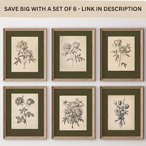 以下が含まれることがあります： 6つの額入り植物画のセット。各プリントは、シャクヤクやバラなど、さまざまな花の精巧な白黒イラストをクリーム色の背景に表示しています。フレームは薄茶色で、濃い緑色のマットが付いています。上部のテキストは「SAVE BIG WITH A SET OF 6 - LINK IN DESCRIPTION」と書かれています。