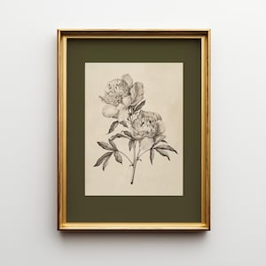 以下が含まれることがあります： 2つのシャクヤクの詳細なイラストが描かれた、額入りの植物画プリント。アートワークはグレースケールで、花と葉は細部まで表現されています。プリントは、金色のフレームの中に、くすんだ緑色の背景に配置されています。