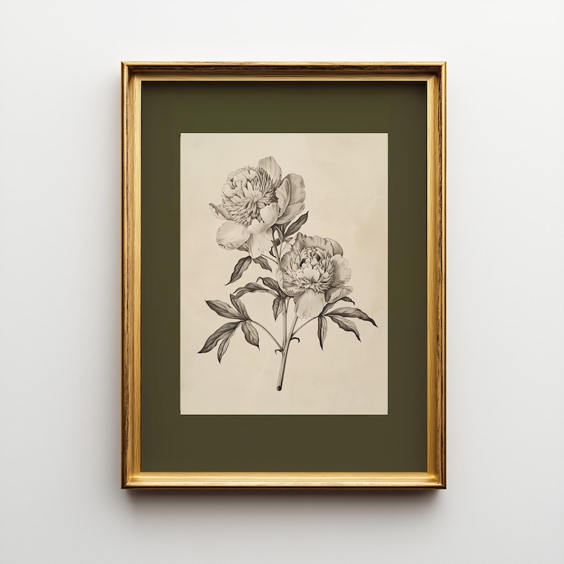 以下が含まれることがあります： 2つのシャクヤクの詳細なイラストが描かれた、額入りの植物画プリント。アートワークはグレースケールで、花と葉は細部まで表現されています。プリントは、金色のフレームの中に、くすんだ緑色の背景に配置されています。