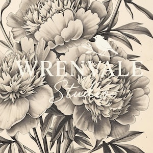 以下が含まれることがあります： 詳細な牡丹の花と葉を描いた白黒のイラスト。画像には、スタイリッシュなフォントで「WRENVALE Studio」というテキストと、鳥のシルエットが含まれています。