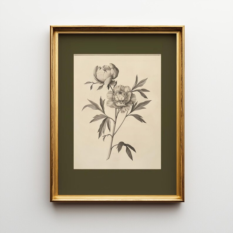 以下が含まれることがあります： グレーと白の色合いで描かれた、シャクヤクの花と葉の詳細なイラストが特徴の、額装された植物画。 このアートワークは、濃い緑色のマットと金色のフレームに囲まれており、クラシックな美しさを醸し出しています。