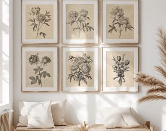 ヴィンテージ ボタニカルプリント ギャラリーウォールセット | スケッチフラワーアート 6点セット WG112