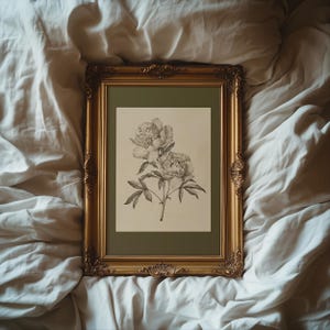 以下が含まれることがあります： 2 つのシャクヤクの花と葉と茎の詳細なイラストが描かれた、額装された植物画。 プリントは緑色のマットにセットされ、装飾的な金色のフレームに収められています。 アートワークは白く、質感のある表面に置かれています。