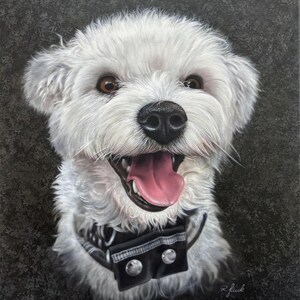 May include: A portrait of a smiling white dog with brown eyes and a black nose. The dog is wearing a black collar with silver accents. The dog's pink tongue is visible. The background is a dark gray.