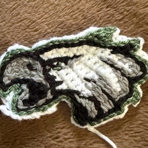 May include: A handmade crochet patch depicting an eagle's head in black, white, grey, and green yarn. The patch has a detailed design and a green border. The item is crafted with yarn.