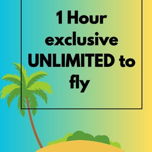 Puede incluir: Un gráfico rectangular con un fondo degradado de azul a amarillo que muestra una palmera en una pequeña isla con arbustos verdes. El texto 1 Hour exclusive UNLIMITED to fly está centrado en letras negras dentro de un borde rectangular fino.