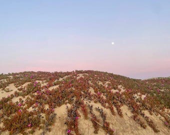 Descarga digital: Fotografía de arte mural Atardecer sobre dunas de arena Retrato Impresión digital a color