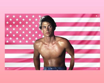 Sodapop Curtis Flag The Outsiders, Rob Lowe Vintage Aesthetic Flag, Pink US Flag Wall Decor, Frat Room Poster, 80s Movie Gift
