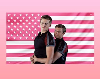 Cato & Marvel Flag Hunger Games, Funny Hunger Games Flag, District 2 Tribute Flag, Pink US Flag Aesthetic, Frat Room Decor