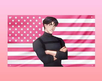 Kenji Kishimoto Pink US Flag, Shatter Me, BookTok Flag, Shatter Me Series Flag, Pink US Flag Aesthetic, Frat Room Decor - Aaron Warner