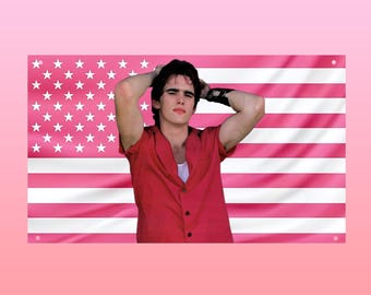 Dallas Winston Flag The Outsiders, Matt Dillon Vintage Aesthetic Flag, Pink US Flag Wall Decor, Frat Room Poster, 80s Movie Gift