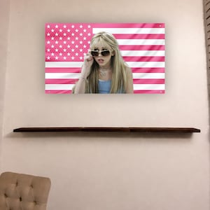 May include: A framed print showing a woman wearing sunglasses against a pink and white American flag design. The woman is wearing a blue top and a silver necklace. The print is mounted on a wall above a dark brown shelf.