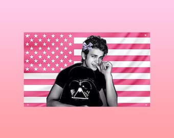 Darth Vader Pink American Flag – Hayden Christensen Star Wars Wall Flag | Sith Aesthetic Dorm Frat Room Decor - Anakin Skywalker US Flag