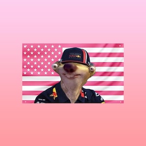 Può includere: Un bradipo dei cartoni animati con un cappellino Aston Martin Red Bull Racing e un'uniforme blu scuro. Lo sfondo presenta una bandiera americana rosa e bianca. Il bradipo ha grandi occhi e un'espressione sorridente.