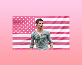 Dylan O’Brien Maze Runner Flag | Thomas Hot Guy Pink American Flag | Movie Aesthetic Wall Decor