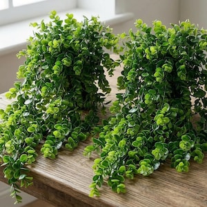Puede incluir: Dos plantas artificiales de eucalipto verde con hojas colgantes. Las plantas están dispuestas sobre una superficie de madera cerca de una ventana, ofreciendo un aspecto natural. Las hojas son de un verde vibrante, añadiendo frescura.