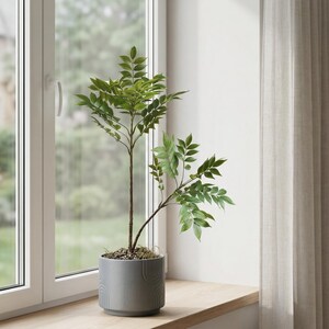 Könnte beinhalten: Eine Topfpflanze mit grünen Blättern steht auf einer Holzfensterbank vor einem Fenster. Die Pflanze befindet sich in einem grauen, zylindrischen Topf. Transparente weiße Vorhänge umrahmen das Fenster, mit Blick auf einen Garten.