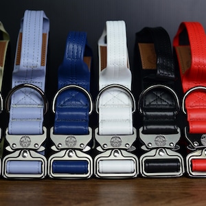 Può includere: Una fila di sei collari per cani in vari colori: verde chiaro, azzurro, blu navy, bianco, nero e rosso. Ogni collare presenta una fibbia in metallo argentato e un anello a D per l'attacco del guinzaglio. I collari sono realizzati in materiale resistente.