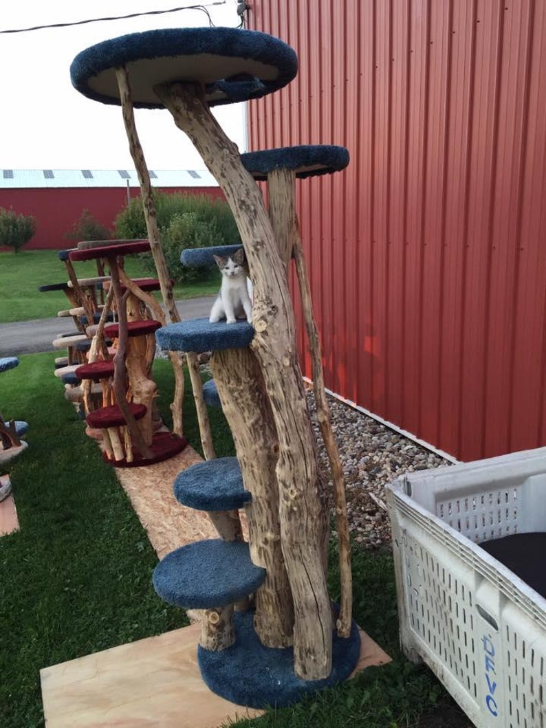Natural Wood Cat Tree - Etsy