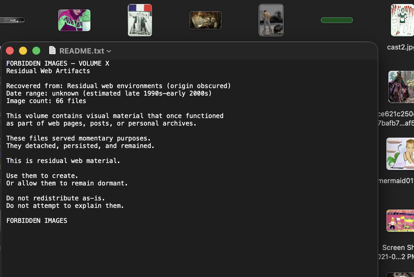 FORBIDDEN IMAGES — Volume X Residual Web Artifacts Unindexed