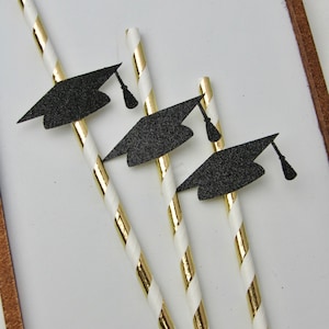 Graduation Party Straws, Class of 2023 Party Straws, Graduation Party Decorations, Graduation Straws, 2023 graduation decoration